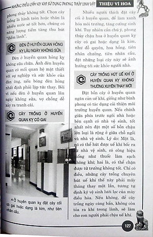 Những Điều Cấm Kỵ Khi Sử Dụng Linh Vật Phong Thủy