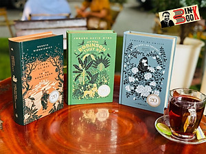 (Combo 3 cuốn, Bìa cứng bọc vải) TÂM HỒN CAO THƯỢNG - TRÊN SA MẠC VÀ TRONG RỪNG THẲM - GIA ĐÌNH ROBINSON THỤY SỸ– Đông A