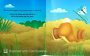 Sách Tớ Là Một Chú Thỏ - Song Ngữ Anh - Việt