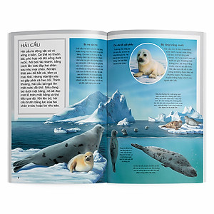 Sách Động Vật Vùng Cực