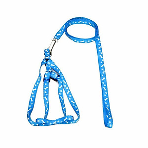 Dây dắt bản mỏng cho chó mèo 1.0 (màu ngẫu nhiên)