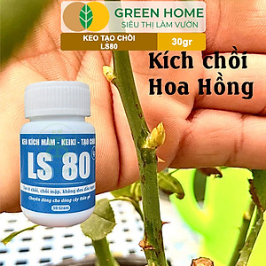 Keo Tạo Chồi LS80, Greenhome, Hũ 30gr, Tạo Mầm Tại Vị Trí Bất Kỳ, Có Chọn Lọc, Không Suy Cây, Đen Chồi