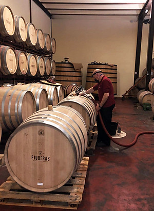 Rượu Vang Organic hữu cơ Castillo de Almansa Coleccion Garnacha Tintorera (Tây Ban Nha) kèm túi giấy,đồ khui