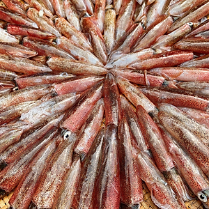 Mực Ghim Khay 500g