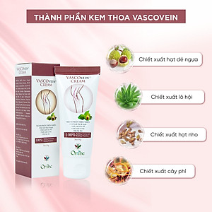 Kem Thoa Giảm Sưng Đau, Tê Phù, Chuột Rút Do Suy Giãn Tĩnh Mạch Vascovein Dân Khang - Tuýp 50g