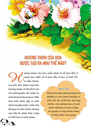 1001 Câu hỏi "Tại sao?" - Thế giới thực vật