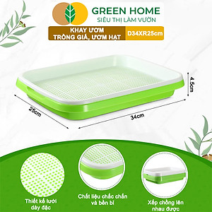 Khay Trồng Rau Greenhome, D34xR25xC5cm, Nhựa Nguyên Sinh, An Toàn, Chuyên Trồng Giá, Rau Mầm Tại Nhà, Không Cần Đất