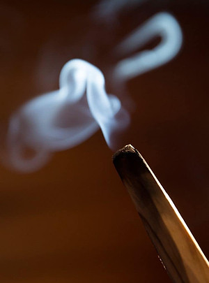 Thanh gỗ Trắc xanh- gỗ Thánh palo santo xông nhà thơm