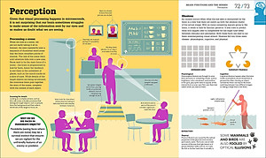 How The Brain Works: The Facts Visually Explained (How Things Work)