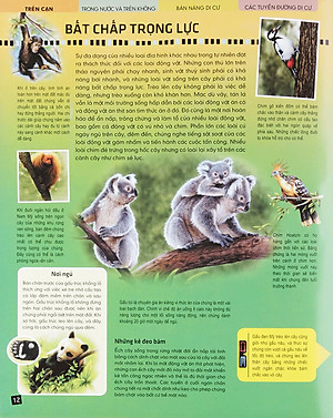 Sách Di Chuyển Và Di Cư