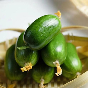 Hạt giống Dưa leo Tiên Đồng trái sai ăn non giòn ngọt