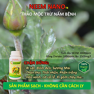 VƯỜN SINH THÁI - Thuốc trừ nấm bệnh sinh học neem nano. Quét sạch thán thư, rỉ sắt, thối nhũn, đốm đen, héo xanh, phấn trắng. 100% Thiên Nhiên