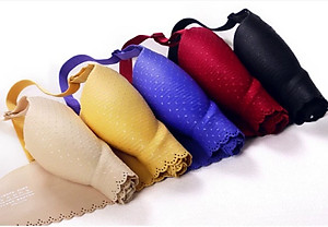 Áo nâng ngực cao cấp quyến rũ sexy thời trang Hàn Quốc dona21120401