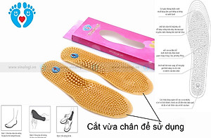 Miếng lót giày massage vinalogi