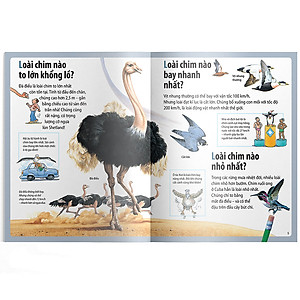 Sách Em Muốn Biết Vì Sao Ngỗng Trời Bay Xa Và Những Câu Hỏi Khác Về Chim 
Chóc