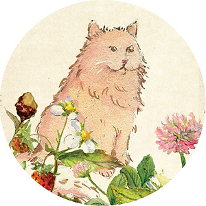 Sách Một Đời Tự Tại