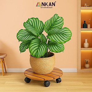 Đế Lót Chậu Cây Có Bánh Xe Cỡ Lớn Đường Kính 35cm Dùng Để Đặt Chậu Cây Chậu Hoa Trong Nhà Và Ngoài Sân
