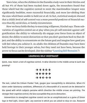 Focus (HBR Emotional Intelligence Series)