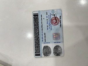 Gậy Arnis Võ Thuật - Gậy luyện võ - Gỗ Bạch Lạp - Độ dài 66cm - 80cm / (2.2cm -3.0cm)