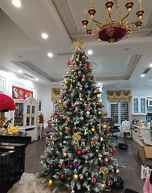 Cây thông noel phủ tuyết cao 1m8 - Cây loại 3 lá dày tán rộng