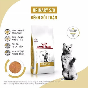 Mua Royal Canin Urinary S/O hỗ trợ cho mèo bị thận 1,5kg Tiki
