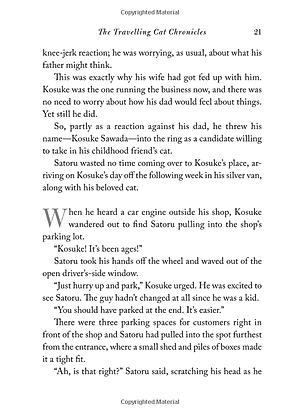 Sách The Travelling Cat Chronicles