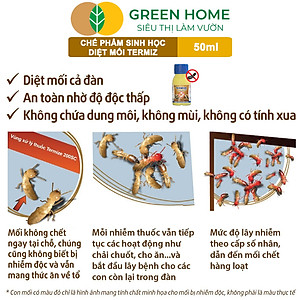 Thuốc Diệt Mối Tận Gốc Greenhome Termize 200SC, Chai 50ml, Sinh Học Thế Hệ Mới, An Toàn, Không Mùi, Diệt Cả Đàn