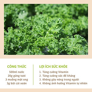Bột cải xoăn kale Dalahouse 60gr (Mẫu mới gồm 20 tuýp tiện dụng) - Nguyên chất sấy lạnh - Detox thanh lọc cơ thể - Đạt tiêu chuẩn Châu Âu