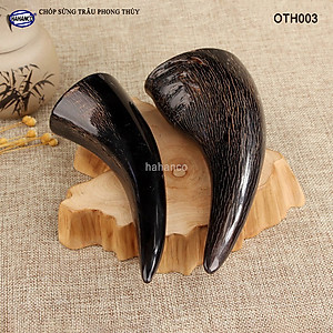 Chóp sừng trâu vật phẩm phong thủy (OTH003) HOT nhất của năm trâu vàng 2021 - giàu sang - phú quý