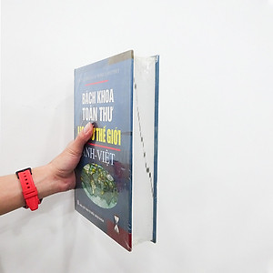 Sách - Bách Khoa Toàn Thư Lịch Sử Thế Giới 