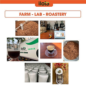 Trà Sữa uống liền Teamix Hoà tan Trần Quang