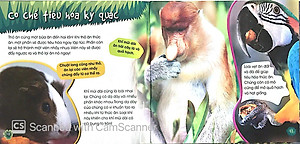 Sách Độc Lạ Phi Thường - Loài Ăn Chay