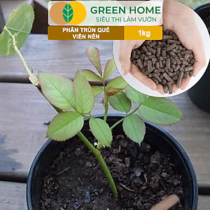Phân Trùn Quế Viên Nén Greenhome, Lavamix, Bao 1kg, Dinh Dưỡng Hữu Cơ, Không Mùi, Tốt Cho Lan, Bonsai, Rau, Cây Ăn Trái