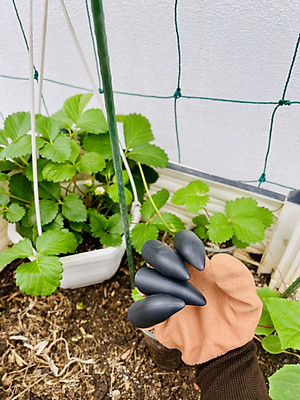 Găng Tay Làm Vườn Có Móng Đào Đất Trồng Cây