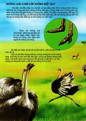 Sách Thế Giới Động Vật Kì Thú - Thế Giới Loài Chim