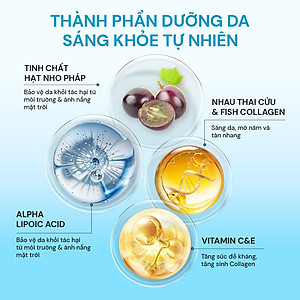 Viên Uống Đẹp Da Chống Nám Ngăn Ngừa Lão Hóa Oribe (Hộp 30 viên)