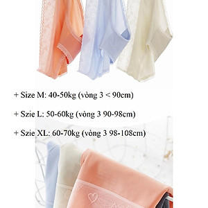 Set 5 Chiếc Quần Lót Su Nữ Nâng Mông Kháng Khuẩn - Quần Lót Nữ Viền Ren Không Đường Viền - Quần Lót Nữ Cao Cấp