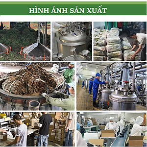 Tinh dầu Dứa (thơm, khóm) nguyên chất từ thiên nhiên, xông phòng, khử mùi, đuổi muỗi, thơm phòng - KingOil