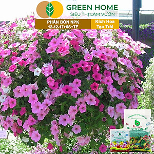 Phân bón NPK 12-12-17-6S+TE Greenhome, Better, Bao 1kg, Tăng Đậu Trái Cây Ăn Củ, Quả