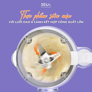 Máy làm sữa hạt mini, Máy xay sữa hạt đa năng SEKA SK320 600ml công suất 600W 5 chức năng bảo hành 12 tháng - Hàng chính hãng