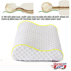 Gối Cao Su Non Chống Đau Cột Sống - Gối Dành Cho Người Hay Ngủ Ngáy -  Giúp Thoải Mái Có Giấc Ngủ Ngon – Hàng Chính Hãng MINIIN