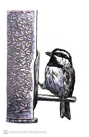 Sách Chuyện Kể Về Trăm Loài Chim