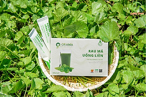 Bột Rau Má Uống Liền Sấy Lạnh Nguyên Chất Hộp Tiện Lợi