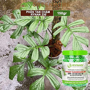 Phân tan chậm Rynan 230, chai 150gr, chuyên kiểng lá, dưỡng lá xanh, sinh trưởng khoẻ |Greenhome