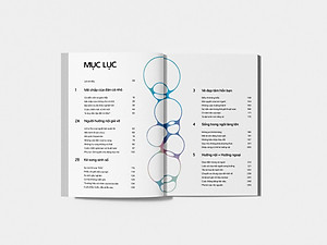 Sách - Ảo Ảnh Trong Xã Hội - Dư Thừa Kết Nối