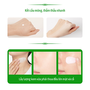 Kem dưỡng ẩm cho da dầu, da khô Wiesin Aging White Skin Moist Cream 30g - WS05