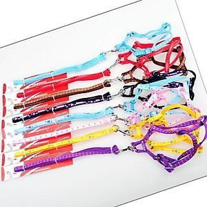 Dây dắt có yếm nhiều họa tiết dễ thương MÀU NGẪU NHIÊN