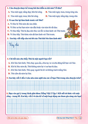 Combo Bài Tập Tuần và Đề Kiểm Tra Toán, Tiếng Việt Lớp 2 - Kết Nối Tri Thức Với Cuộc Sống