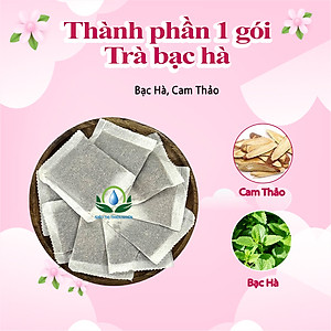 Trà Lá Bạc Hà Hộp 30 Túi Lọc Của Siêu Thị Thiên Nhiên