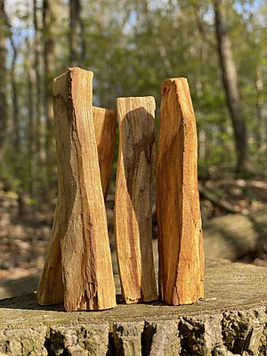 Thanh gỗ Trắc xanh- gỗ Thánh palo santo xông nhà thơm